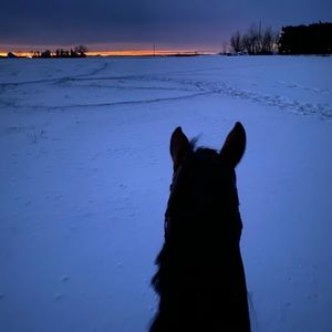 Meet your Posher, Hope